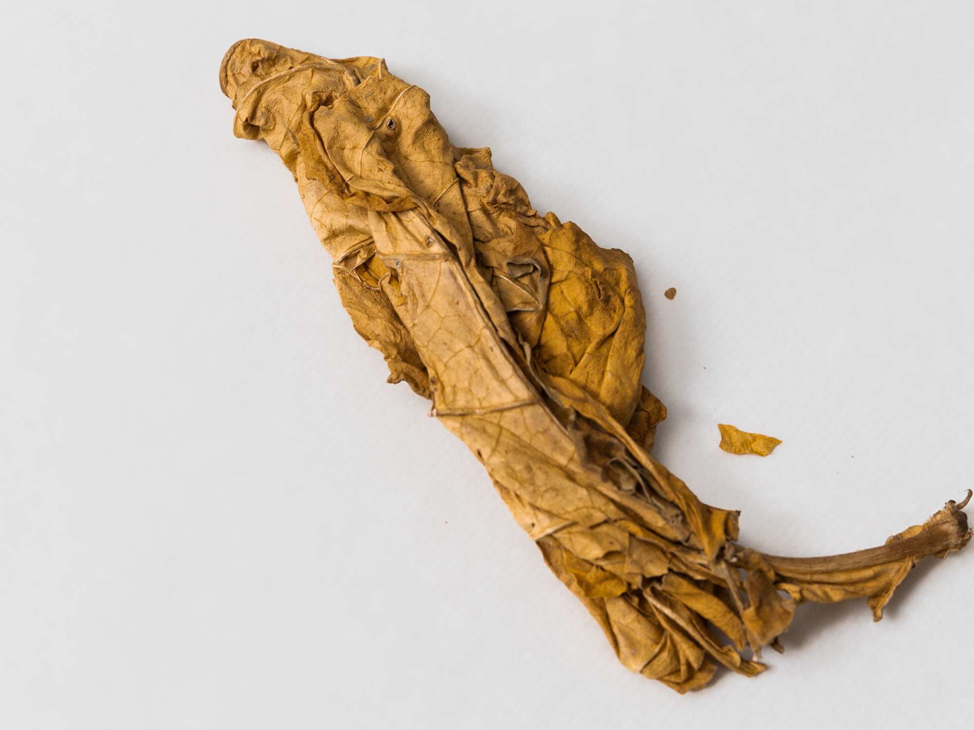 Tobacco