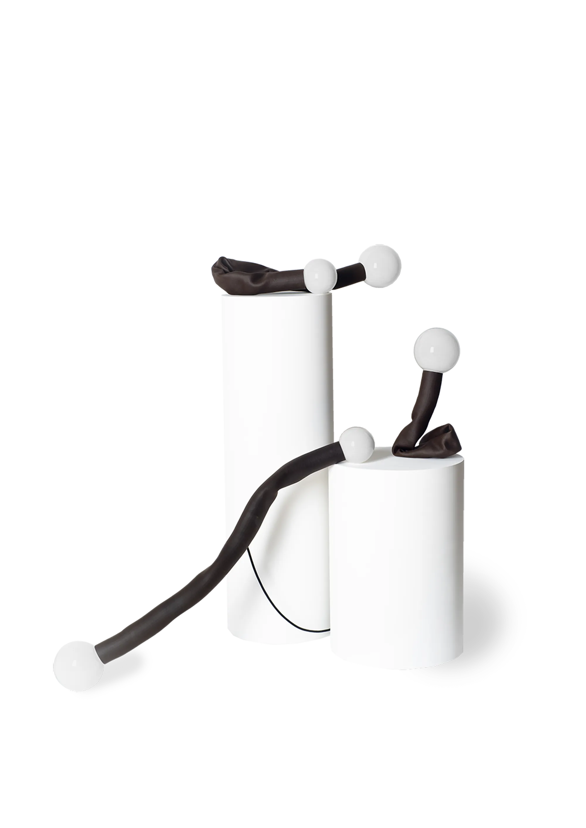 Coffee Silverskin